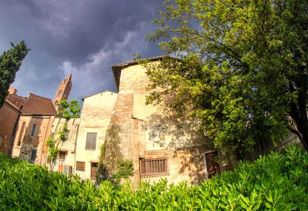 Pisa ve bitki örtüsü tipik evleri — Stok fotoğraf