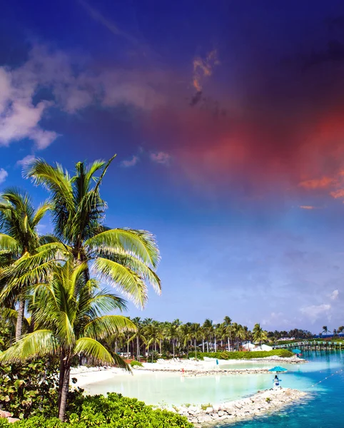 Облачное небо над растительностью Нассау, Багамские острова — стоковое фото