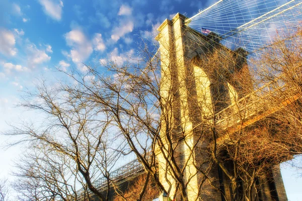 Låg vinkel syn på brooklyn bridge — Stockfoto