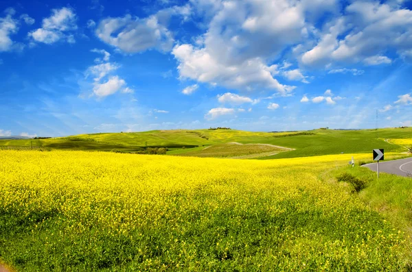 Platteland landschap met velden en weiden — Stockfoto