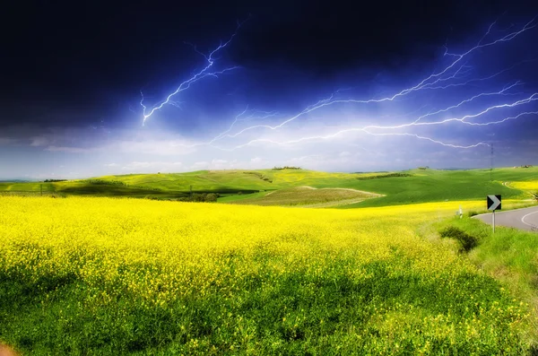 Platteland landschap met velden en weiden — Stockfoto