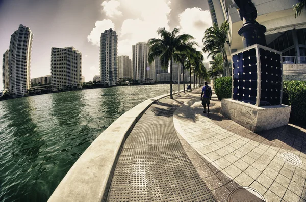 Miami wolkenkrabbers in de buurt van bayfront park — Stok fotoğraf