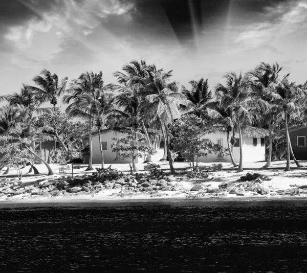 Caribe hermosa casa de playa con cocoteros — Foto de Stock