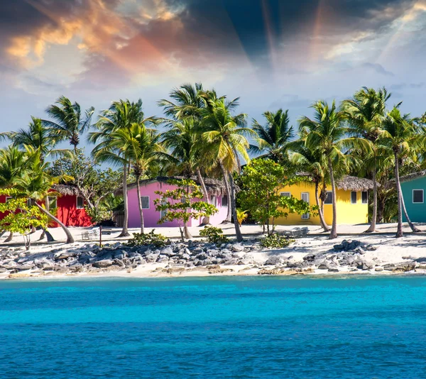 Hindistan cevizi ağaçları ile Karayip güzel bir plaj evi — Stok fotoğraf