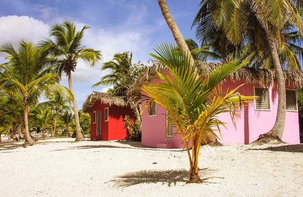 Karibiens vakre strandhus med kokosnøtttrær – stockfoto