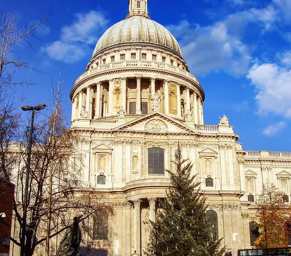 Christopher Çalıkuşu st Paul Katedrali Londra — Stok fotoğraf