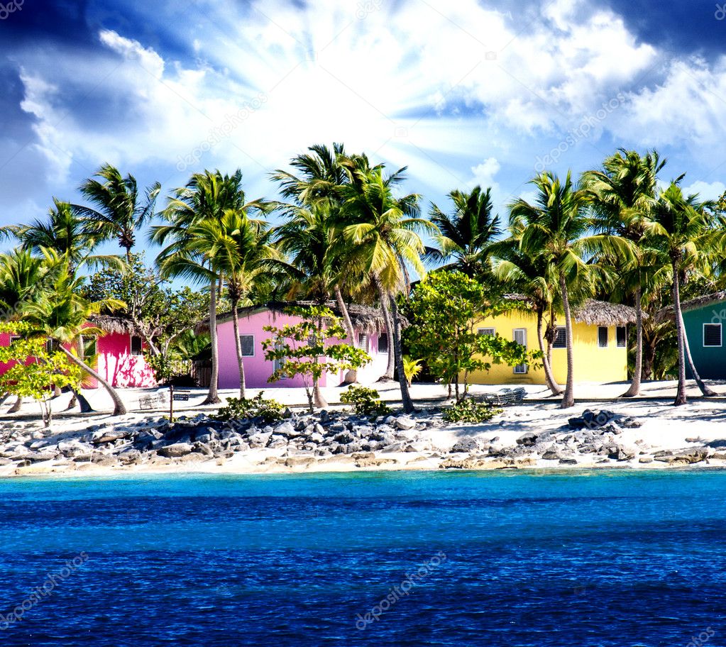 Beautiful beach of caribbean island with brilliant red, pink and