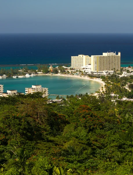 カリブ海と植生、丘の上からの眺め — ストック写真