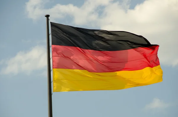 Német zászlót lengetve előtt Reichstag, Berlin — Stock Fotó