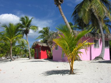 renkli caribbean tropikal canlı renkler evler