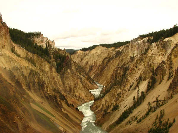Cañón y Río de Yellowstone Parque Nacional — Foto de Stock