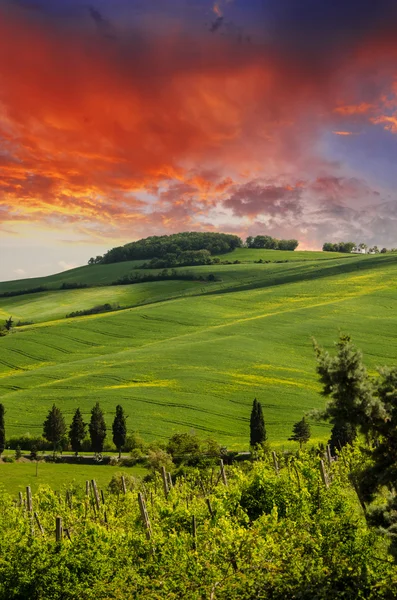 Toscane heuvels en het landschap in chianti regio — Stockfoto