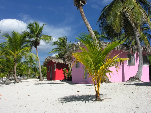 Barevné Karibiku domy tropické ostré barvy — Stock fotografie