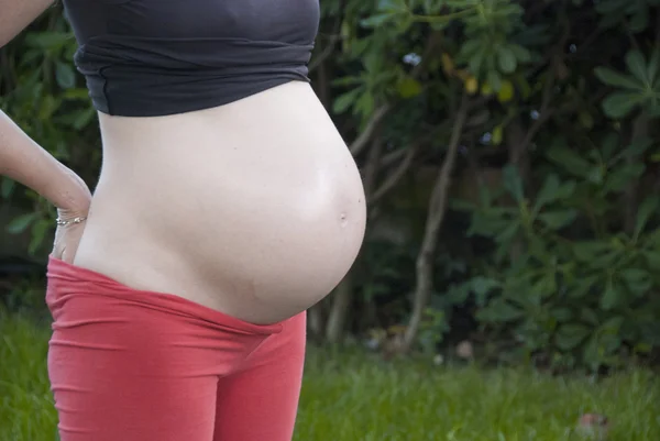 Łona kobiety w ciąży — Zdjęcie stockowe