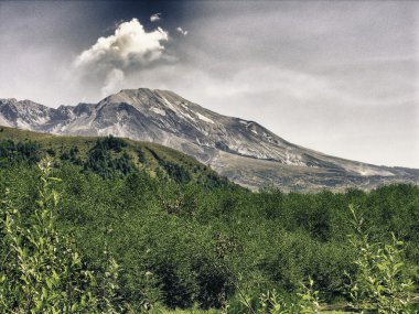 Nature of Mount Saint Helens, U.S.A. clipart