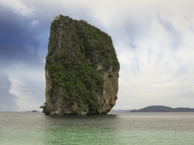 Tayland bitki örtüsü ve okyanus renkler