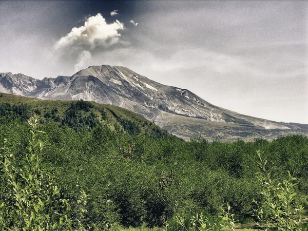 Nature of Mount Saint Helens, United States . — стоковое фото