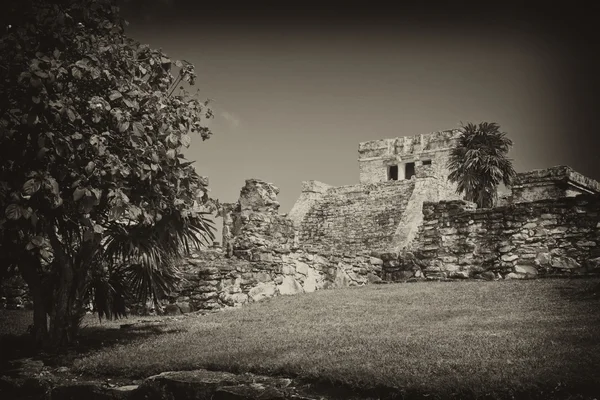 Famosas ruinas arqueológicas de Tulum en México —  Fotos de Stock