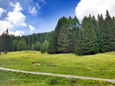 İtalyan dolomites Peyzaj ve renkleri yaz sezonu