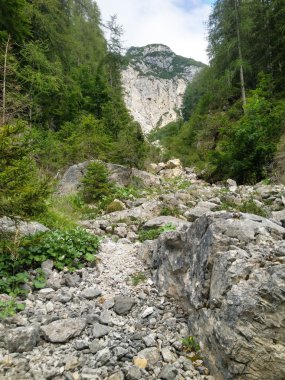 İtalyan dolomites Peyzaj ve renkleri yaz sezonu