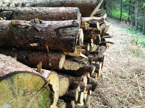 冬の準備ができている木材ログの山-景観外 — ストック写真