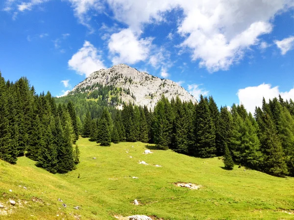 Italské Dolomity krajiny a barvy v letní sezóně — Stock fotografie