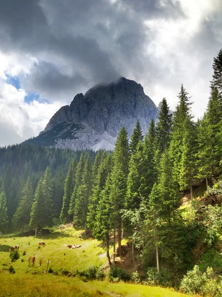 Italiaanse Dolomieten landschap en kleuren in het zomerseizoen — Stockfoto