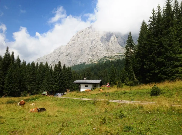 이탈리아 Dolomites 풍경과 여름 시즌에 색상 — 스톡 사진