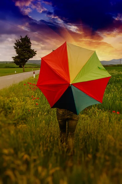 여러 가지 빛깔의 우산 — 스톡 사진
