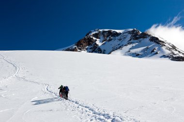 Mountaineers walking on Monte Rosa Glacier clipart