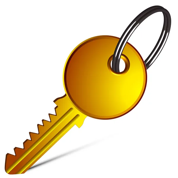 反白的金钥匙 — 图库矢量图片