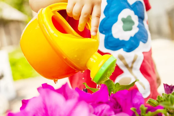 Arrosage d'enfants fleurs d'été — Photo