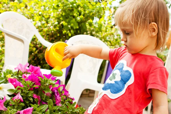 Child watering summer flowers — Stock Photo, Image
