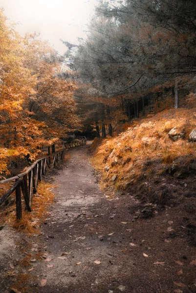 Herbstweg — Stockfoto