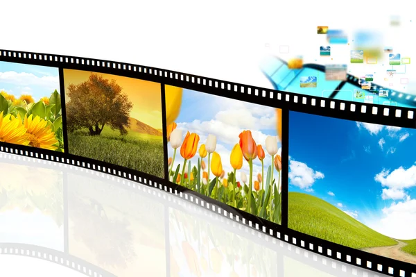 Film strips with a picture of flowers — Stock Photo, Image