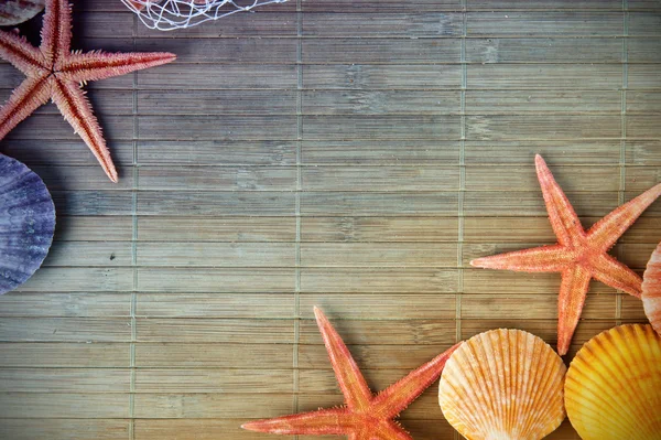 贝壳和海星的框架 — 图库照片