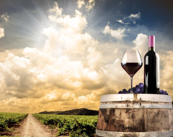 Вино натюрморт против виноградника — стоковое фото