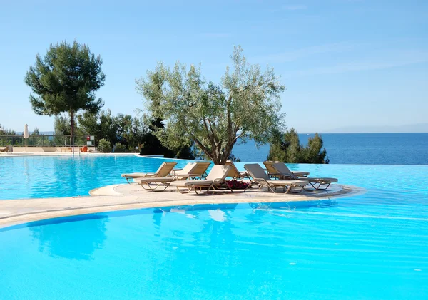 Infinity swimming pool with olive tree in the middle at the mode — Stock Photo, Image