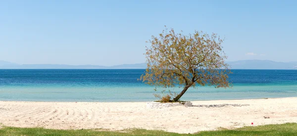 Panorama of beach at the luxury hotel, Thassos island, Greece — Stock Photo, Image