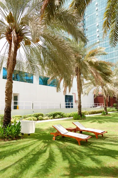Ligbedden op het groene gazon en palm tree shadow in luxehotel, — Stockfoto