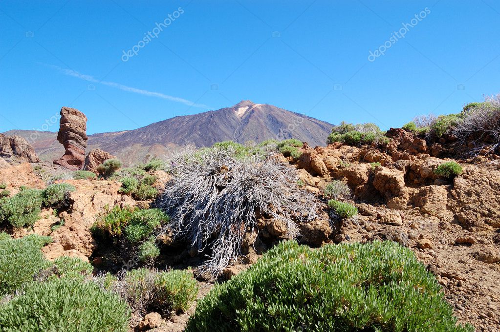 泰德国火山在背景 西班牙特内里费岛 图库照片 C Slava296