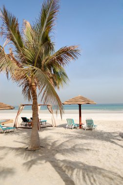 Beach of the luxury hotel, Ajman, UAE clipart