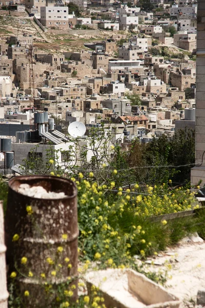 Hebron görünümü ve evler — Stok fotoğraf