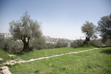 Hebron görünümü ve evler