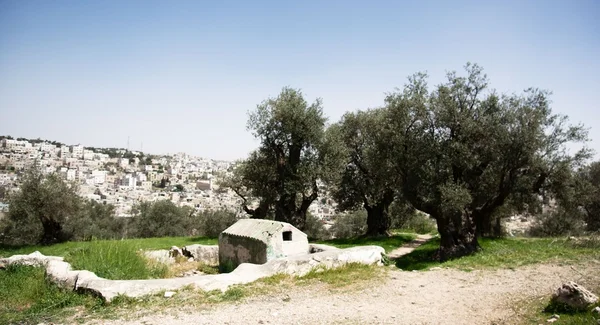 Hebron vista e casas — Fotografia de Stock