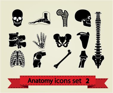 Anatomy icons set 2 clipart