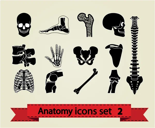 Anatomi ikoner set 2 — Stock vektor