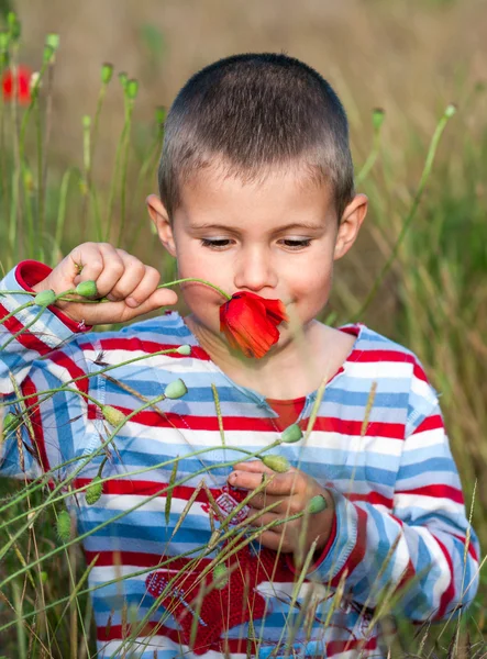 Chłopiec i kwiat — Zdjęcie stockowe