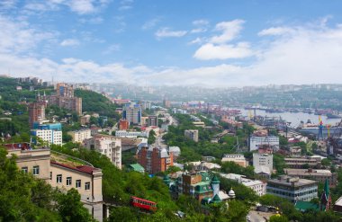 Vladivostok. Panorama of the Golden Horn clipart