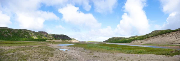 夏の北極ツンドラの風景 — ストック写真